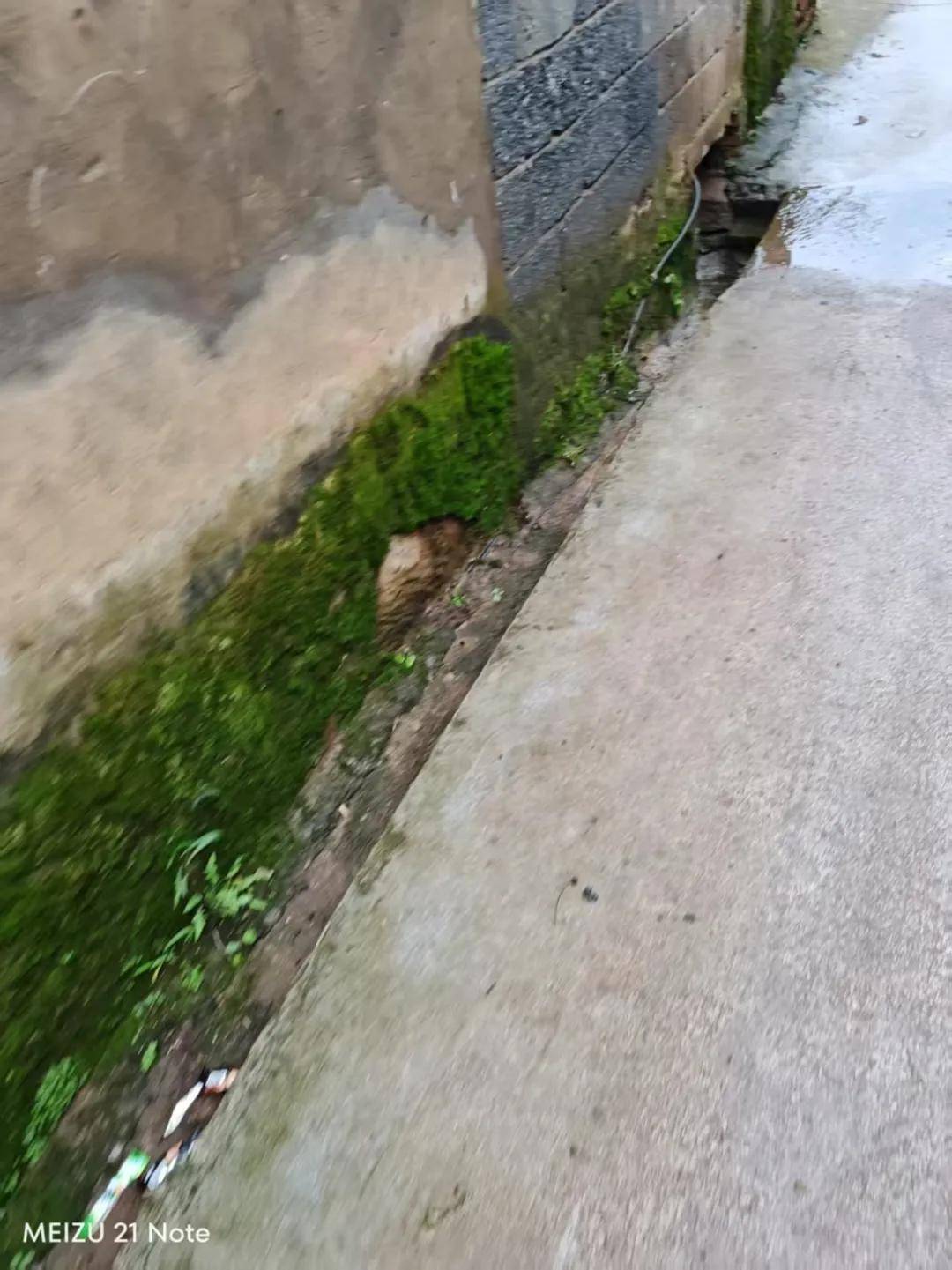 皇冠abcd类型網_中学男孩杀害同班女生皇冠abcd类型網,或意图实施性侵