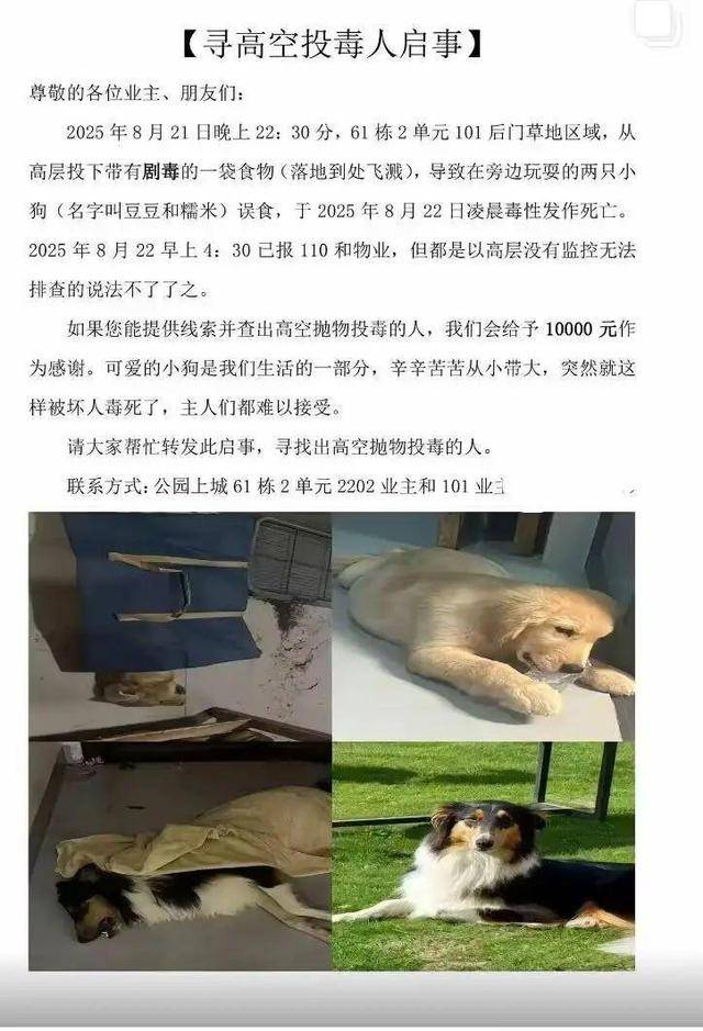 意大利甲组联赛 
_广西一小区有人高空抛食毒死多条宠物狗意大利甲组联赛 
，居民悬赏万元寻线索，警方已立案调查