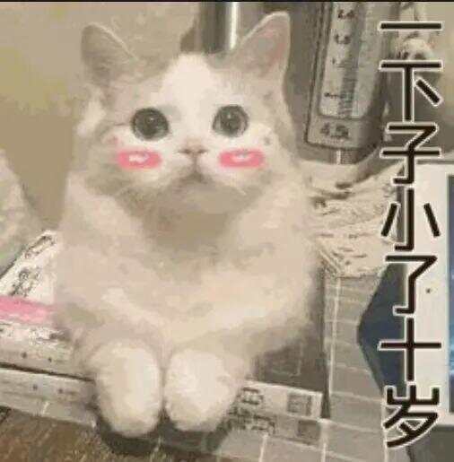 布拉加U23 vs维赛拉U23
_79岁老伯为见其相亲对象“翠花”布拉加U23 vs维赛拉U23
，将身份证改小10岁 被发现后不忘叮嘱民警“能不能不告诉她”