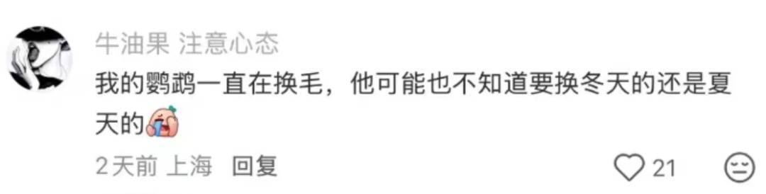 nba赛程表_上海：节后气温将冲高至33℃！今夏已长达150天nba赛程表，玉兰蔷薇樱花荷花全开了……