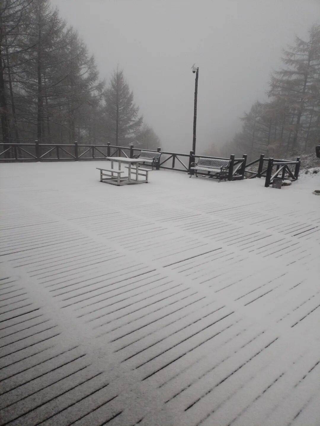 皇冠信用網登1
_石家庄下雪了!河北将迎中到大雪皇冠信用網登1
,未来三天……