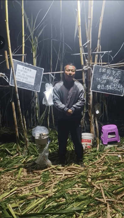 皇冠信用网出租代理
_四川眉山自助“偷甘蔗”老板称有人只“偷”不给钱皇冠信用网出租代理
，当地文旅：已安排人员现场协调